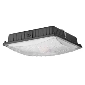 WSD-CP65W27-50K 1000LED Led Canopy Light Fixture Seletable