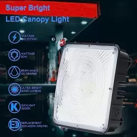 729257974789 AMPTONICA Led Canopy Light Etl #2
