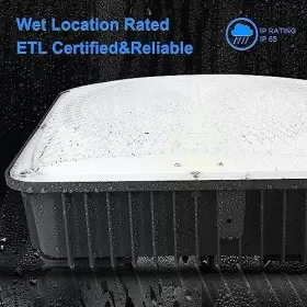 729257974789 AMPTONICA Led Canopy Light Etl #3