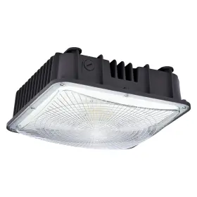 CANOPY-80W AMPTONICA Led Light Etl