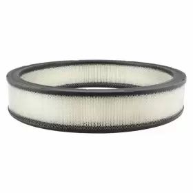 PA2024 BALDWIN FILTERS Round Air Filter