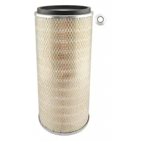PA2484 BALDWIN FILTERS Air Filter