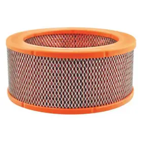 PA30025 BALDWIN FILTERS Air Filter