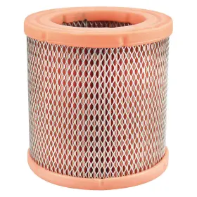 PA30301 BALDWIN FILTERS Element Air Filter