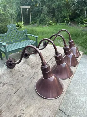 A810.62.E1.62.100INC BASELITE Gooseneck Lamp