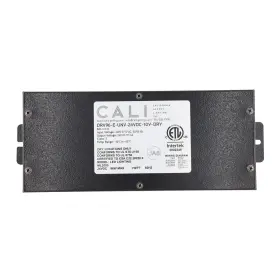 DRV96-E-UNV-24VDC-10V-DRY CALIFORNIA ACCENT LIGHTING Led
