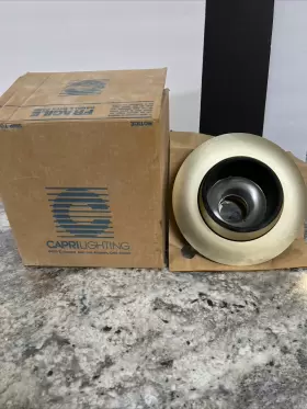 R-39B CAPRI LIGHTING Ceiling Fixture
