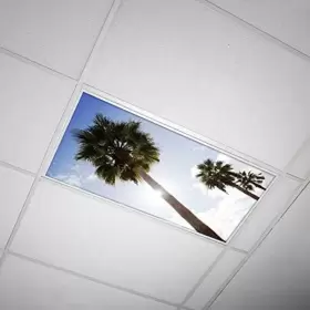 TRE-006-2X4 DECORATIVE LIGHT COVERS Tree Fluorescent Reduce