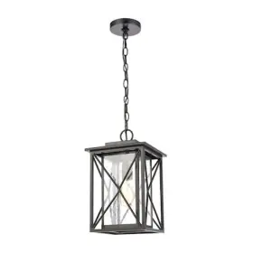 46753-1 ELK LIGHTING Carriage Light Seedy