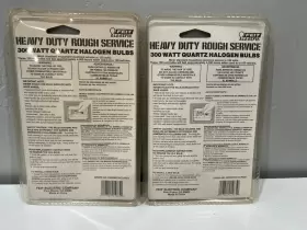 BPQ300T3-CL-RS-2 FEIT ELETRIC Electric Pack Rough Service #2