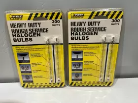 BPQ300T3-CL-RS-2 FEIT ELETRIC Electric Pack Rough Service