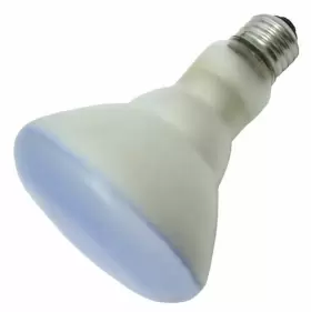 20996 GE Lighting Plant Aquarium Flood Light Bulb Pack #2