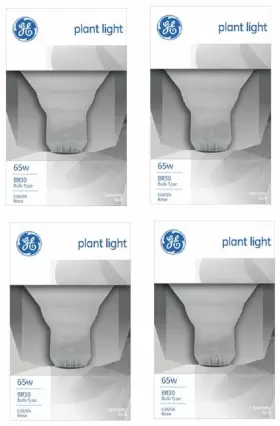 20996 GE Lighting Plant Aquarium Flood Light Bulb Pack
