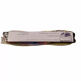 GE240RS120-DIY GE Proline Ballast #3
