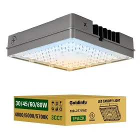 SLCL0380MWX28CCTKZ-1PCK GOLDINFU Led Canopy Light Selectable