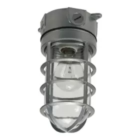 VT100G HALO Dusk Dawn Hardwired Incandescent Canopy Light