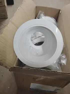 1176 LIGHTOLIER Recessed Recess Downlight Step Baffle Box