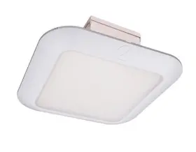 197589541243 LITHONIA LIGHTING Soffit Canopy Light Frosted