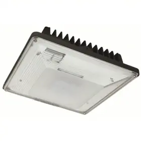 446M59 LUMAPRO Canopy Light Fixture Ac Hps Bron