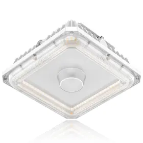 NG-CGS-100W ORRGENA Led Canopy Lights Etl