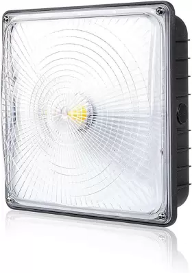 689828927470 PARMIDA LED TECHNOLOGIES Canopy Light Dimmable