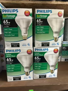 50BR40 PHILIPS Flood Light Dimmable Bulb Ecovantage
