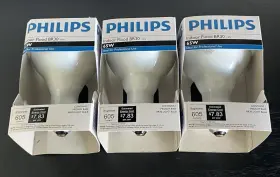 65BR30-FL55 PHILIPS Flood Bulb Lamps Base