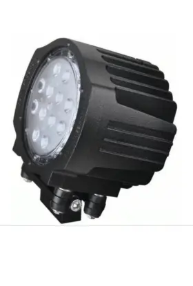 010184.003 PHOENIX Flood Light Led