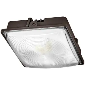 PLTBE15 PLT Led Canopy Light Finish