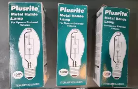 MP100-ED17-U-4K PLUSRITE Halide Lamp Med Enclosed Fixtures #2
