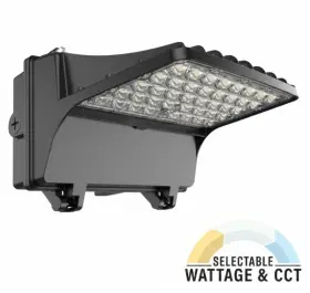811768021233 PREMIUM QUALITY LIGHTING Semi Wall Area
