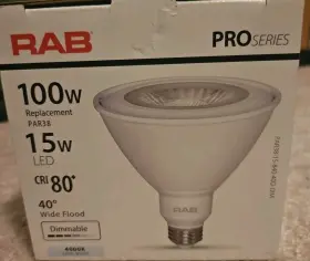 PAR38-15-850-40D-DIM RAB Par Led Pro Flood Light