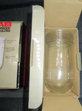 GL100 RAB Lighting Vaporproof Glass Globes #2