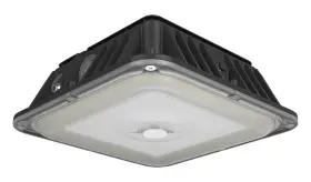 VAN1750 RAB Led Field Canopy Light