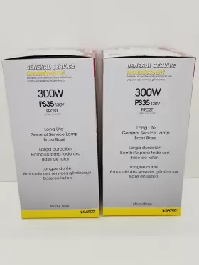 D4962 SATCO Mogul Base Light Bulb Frosted #2