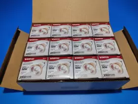 S3517 SATCO Box Volt Halogen Floods