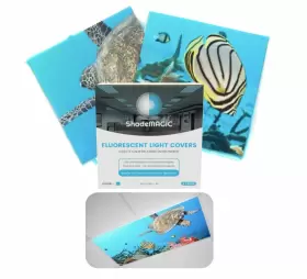 300262266566 SHADEMAGIC Fluorescent Light Covers Classroom