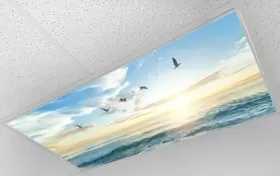 759126787783 SHADEMAGIC Fluorescent Light Covers Classroom #2