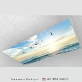 759126831813 SHADEMAGIC Fluorescent Light Covers Classroom #2