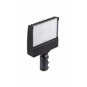 SF100-SCT-T-G2-10-PCB-BZ STONCO Led Flood Selectable