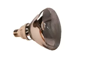 1P3823 Cfl #2