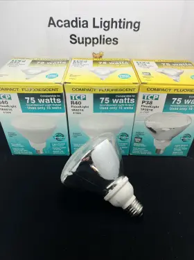1R4016 Cfl Flood Light Bulb