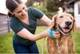 Handheld Pet Bathing 8 feet Hose with Sprayer Brush