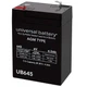 Lithonia ELB06042 Replacement Rhino Battery