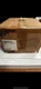 RAB VAN1F13W Vandalproof VAN 1 White 6&rdquo; x 8&rdquo; Ceiling 13W FL 120V White Lens
