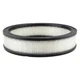 Baldwin Filters Pa2077 Air Filter, 10-1/32 X 2-1/4 In.