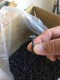 #8 x 1-5/8" Phillips Wafer Head Sharp Point Cement Board Screws w/NIBS 1000/Case #8 x 1-5/8" Phillips Wafer Head Sharp Point Cement Board Screws w/NIBS 1000/Case