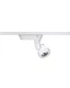 JUNO T252L SP28611-3K-F-WH LED TRAC-MASTER TRACK FIXTURE, 3000K WHITE. FLOOD 12O