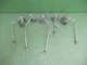 WB28T10133 WB28T10125 WB02K10360 GE Cooktop Gas Tube w/Orifice Bracket Set 5