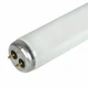 (2 PACK) Philips F20T12/CW  20 Watt T12 Medium Bipin Fluorescent Lamp 27332-6
